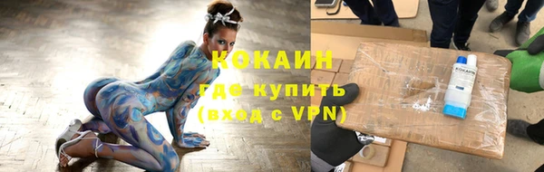 хмурый Абаза