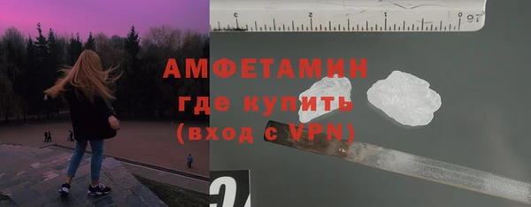 хмурый Абаза