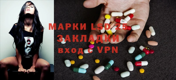 хмурый Абаза