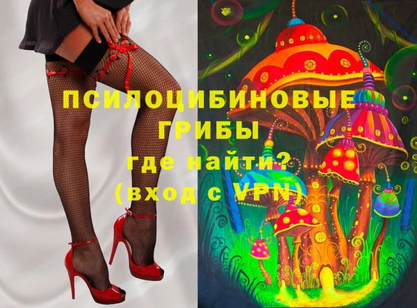хмурый Абаза