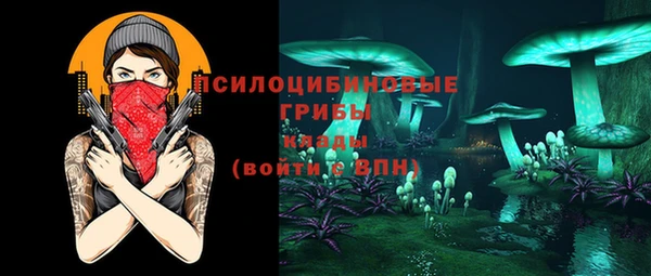 хмурый Абаза