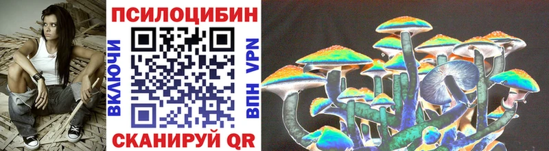 Псилоцибиновые грибы Psilocybine cubensis где найти наркотики KRAKEN как войти Хасавюрт