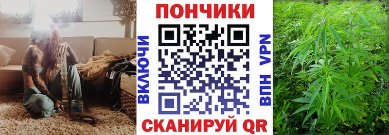 Бошки Шишки AK-47  купить наркотик  Хасавюрт 